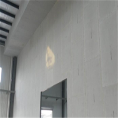 朔州宁波ALC板|EPS加气板隔墙与混凝土整浇联接的实验研讨